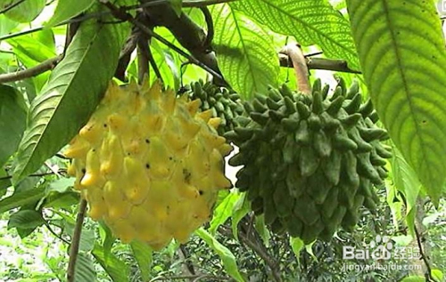 助力安全 - 拼多多助力防盗刷 - 安全风险全面解析