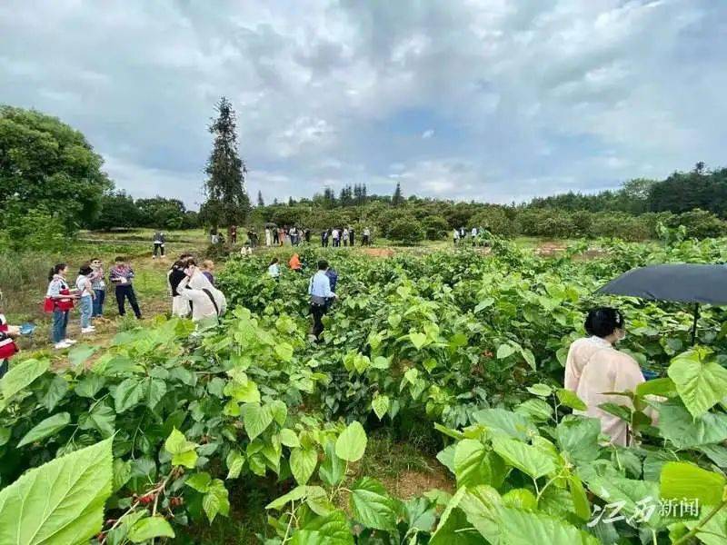 助力不上 - 果园助力技巧 - 问题解决方法