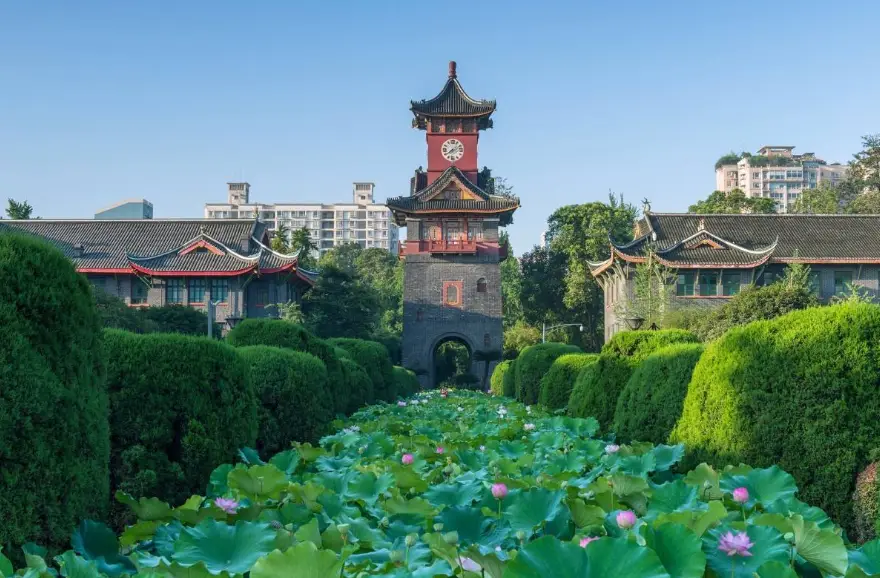 加助力群 - 如何在拼多多加助力群 - 高效方法详解