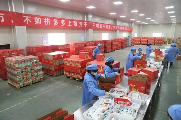 农货上市 - 拼多多助力 - 打造高效农产品销售新平台