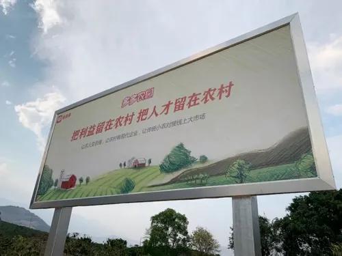 农村发展 - 拼多多助力160国农村 - 全球农村振兴计划