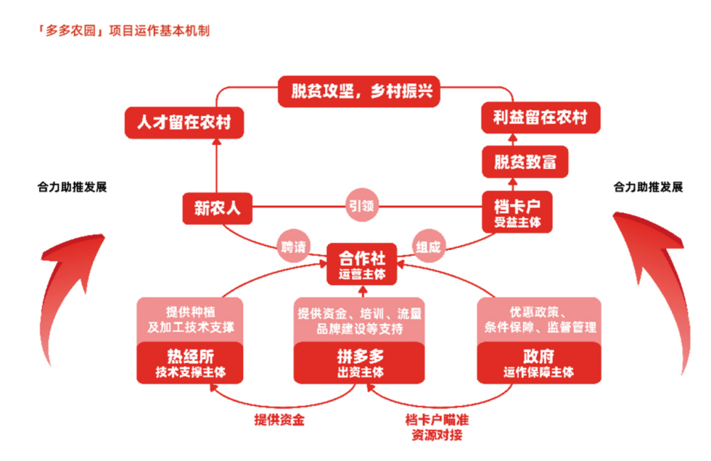 农产品销售 - 拼多多农产品销售技巧 - 无需助力轻松售