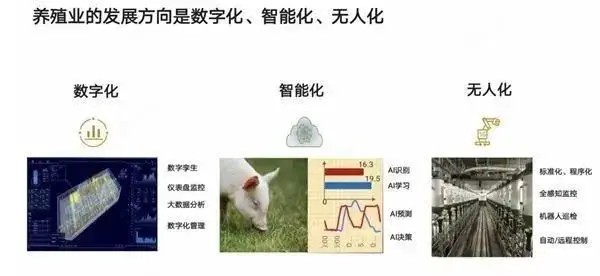 养猪助力 - 拼多多养猪支持平台 - 高效养殖解决方案
