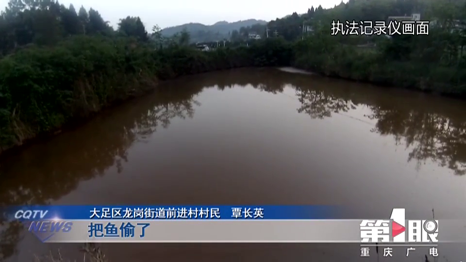鱼塘助力 - 鱼塘助力不见了 - 快速解决方法