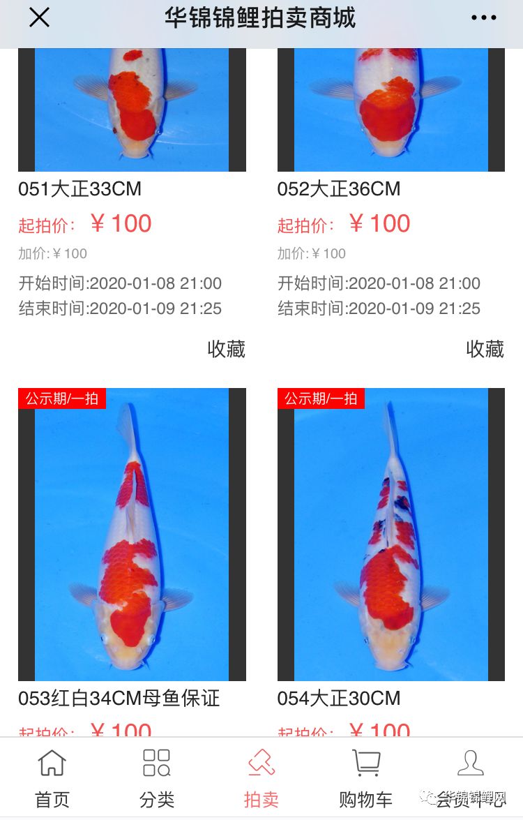 锦鲤助力 - 拼多多助力锦鲤 - 助力显示问题解答