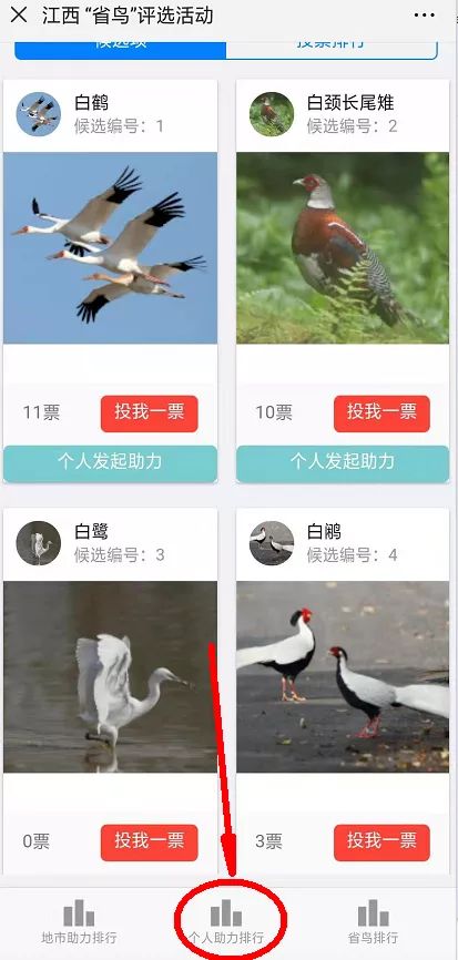 助力的人 - 助力活动查询 - 实时查看