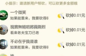 拼多多助力 - 暴力助力技巧 - 高效助力解决方案