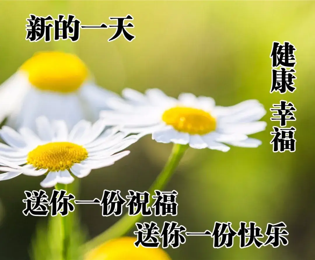 助力规则 - 拼多多减减卡助力规则 - 官方完整指南