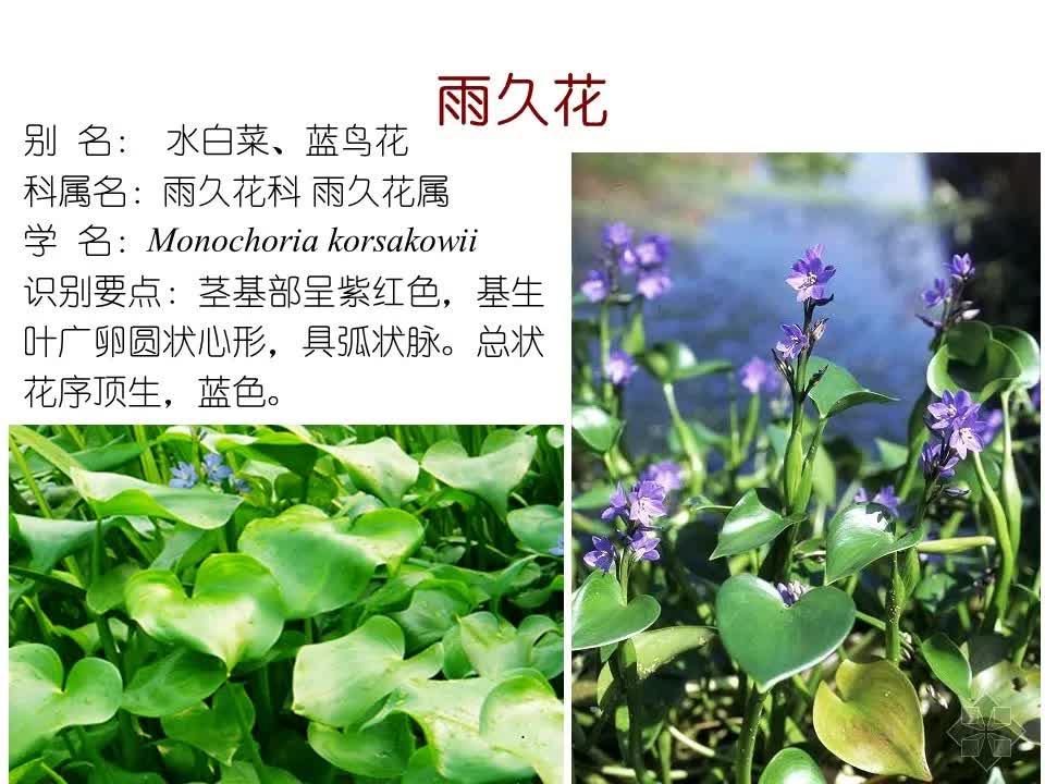助力一分钱 - 助力一分钱玩法攻略 - 省钱技巧大全
