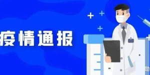 上海疫情如何自助查询？官方提供的自助网站有哪些服务？