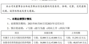公司盈利还是亏损？揭开财务真相