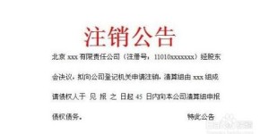 如何将副业转型为合法法人身份？