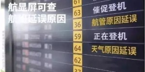你想了解上海税务自助服务厅的官网吗？这里有哪些便捷功能等你探索？