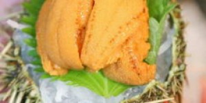你想了解哪家日料自助团购网站的海胆最鲜美？