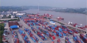 你想知道泸州最热门的自助视频直播网站有哪些新动态吗？