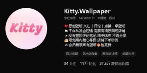 设计师如何利用副业微店开启创意变现之路？