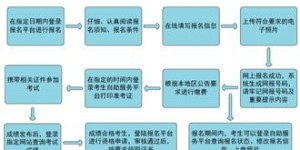 兽医师如何利用网络自助平台提升执业效率？