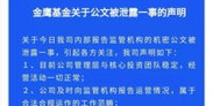 总经理基金究竟是什么？其含义和作用详解