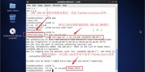 LSP是如何通过独特方式实现盈利的？