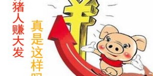 养小鸡赚钱有诀窍吗？新手必看养殖盈利技巧视频