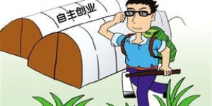 明年农村哪些行业将迎来暴利机会？你准备好了吗？