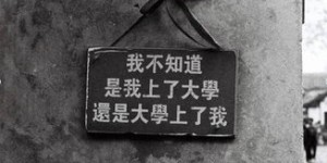 为何步入社会后才深感赚钱不易？