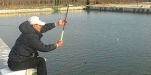 什么是共享无人自助垂钓平台，它如何革新我们的垂钓体验？