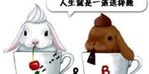 1984年出生的属鼠人，如何选择适合自己的副业？