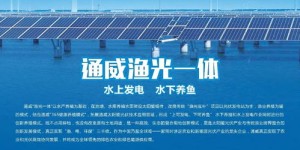 全球范围内养殖哪些项目最具盈利潜力？你了解吗？