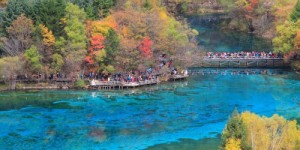 你想了解的四川省自助旅游网站在这里吗？一站式探索四川旅游攻略！