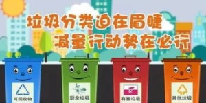 什么是水果自助回收平台，它如何助力环保与资源再利用？