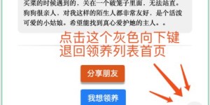 你想了解的自助领养平台官网有哪些特色服务和优势？