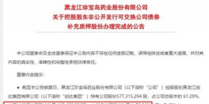 什么是自助质押贷款平台，它如何帮助用户便捷融资？