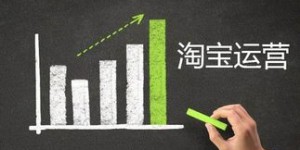 如何在短短半个月内成功开启并运营副业？