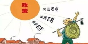 东北农民转型开网店，收入前景如何？