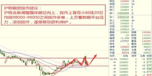 近期投身养猪业能否带来可观收益？市场行情分析