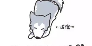投控究竟指的是什么？它的含义你真的了解吗？