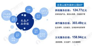 林区发展哪些副业最合适？探寻林下经济的多元可能性