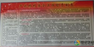 如何在不影响村官职责的前提下合法办理副业？