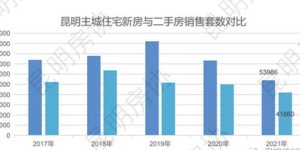 微商在广州市场的表现如何？发展趋势值得关注吗？