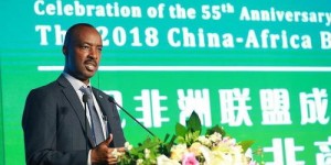 驻华大使竟涉足副业？外交官身份背后隐藏何种商业活动？