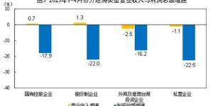 101DD的盈利模式是什么？他们如何实现持续收益？