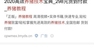 哪种副业加工项目最具赚钱潜力？你适合哪一种？