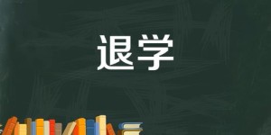 副业能否拯救你的财务困境？——全方位自救攻略