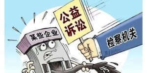 起诉能否成为赚钱新途径？法律途径获利真相探究
