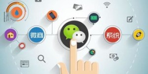 玛卡微商真的那么赚钱吗？他们是如何运作市场的？