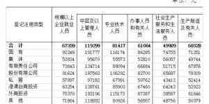 维达力员工薪资水平如何？具体工资待遇揭秘