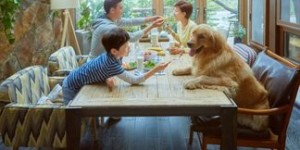 途家如何实现盈利？民宿平台赚钱的秘密在哪里？