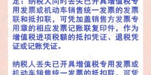 合肥国税如何使用自助平台？一篇指南带你详细了解！