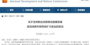 广西如何通过副业实现增收？探索多元化创收新路径